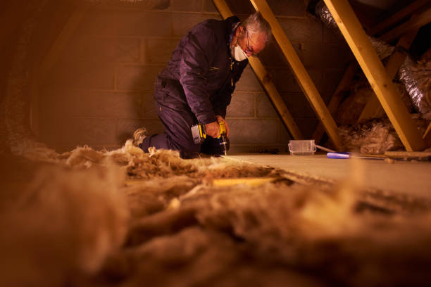 Best Residential Insulation in Mono Vista, CA